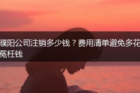 濮阳公司注销多少钱?费用清单避免多花冤枉钱