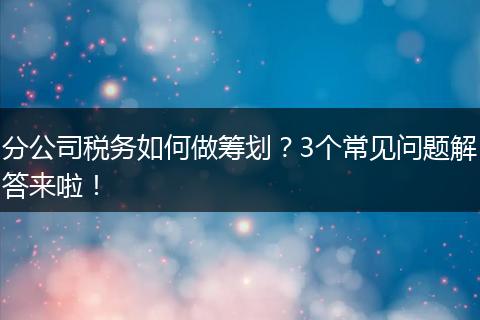 分公司税务如何做筹划?3个常见问题解答来啦!