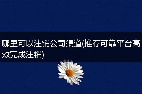 哪里可以注销公司渠道(推荐可靠平台高效完成注销)