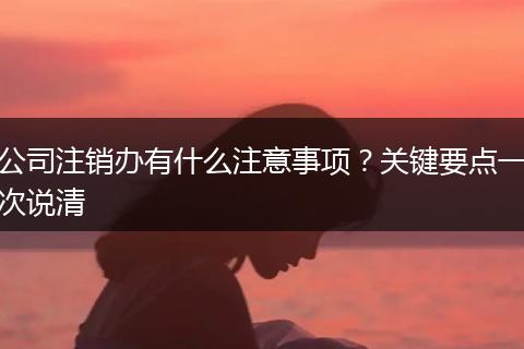 公司注销办有什么注意事项?关键要点一次说清
