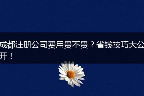 成都注册公司费用贵不贵？省钱技巧大公开！