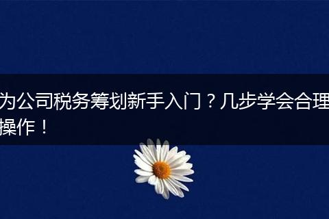 为公司税务筹划新手入门?几步学会合理操作!