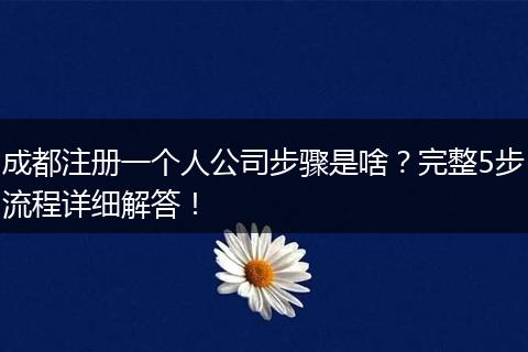 成都注册一个人公司步骤是啥？完整5步流程详细解答！