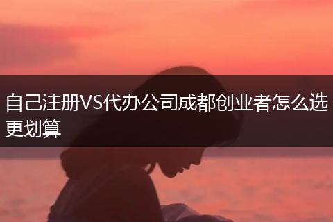 自己注册VS代办公司成都创业者怎么选更划算