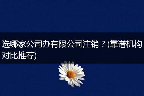 选哪家公司办有限公司注销？(靠谱机构对比推荐)