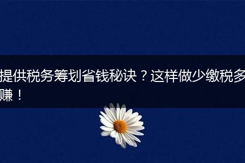 提供税务筹划省钱秘诀?这样做少缴税多赚!