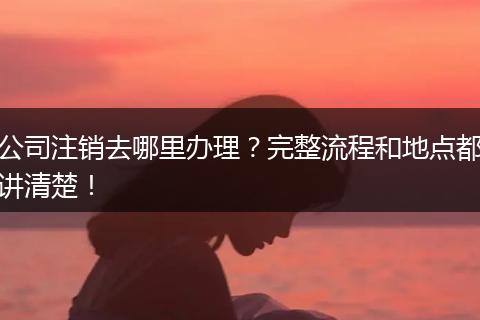 公司注销去哪里办理?完整流程和地点都讲清楚!