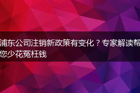 浦东公司注销新政策有变化?专家解读帮您少花冤枉钱