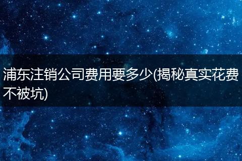 浦东注销公司费用要多少(揭秘真实花费不被坑)