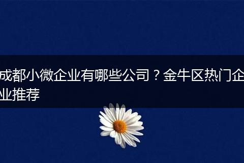 成都小微企业有哪些公司?金牛区热门企业推荐