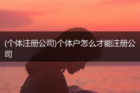 (个体注册公司)个体户怎么才能注册公司
