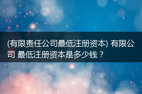 (有限责任公司最低注册资本) 有限公司 最低注册资本是多少钱？