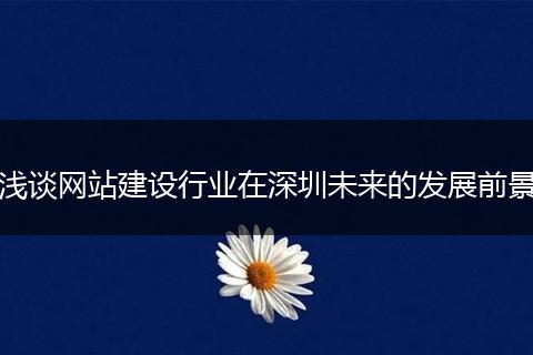 浅谈网站建设行业在深圳未来的发展前景