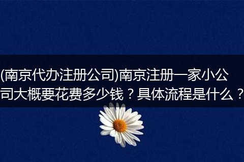 (南京代办注册公司)南京注册一家小公司大概要花费多少钱?具体流程是什么?