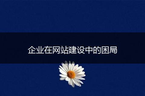 企业在网站建设中的困局