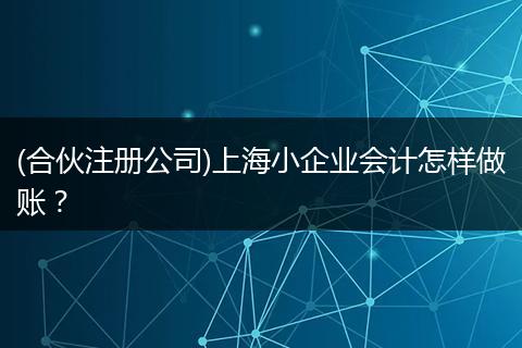 (合伙注册公司)上海小企业会计怎样做账？