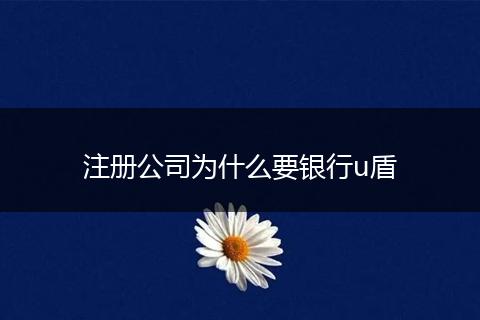 注册公司为什么要银行u盾