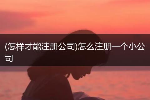 (怎样才能注册公司)怎么注册一个小公司
