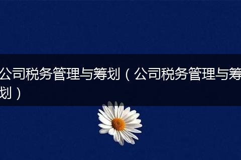 公司税务管理与筹划（公司税务管理与筹划）