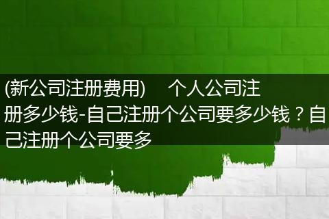 (新公司注册费用)    个人公司注册多少钱-自己注册个公司要多少钱？自己注册个公司要多