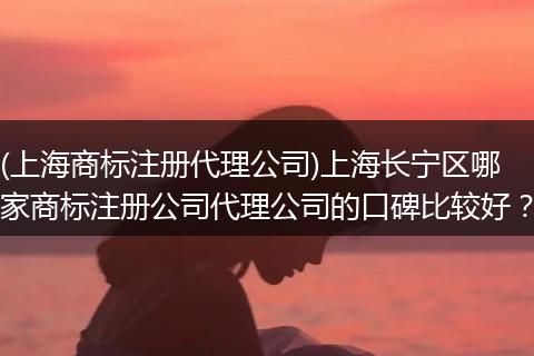 (上海商标注册代理公司)上海长宁区哪家商标注册公司代理公司的口碑比较好？