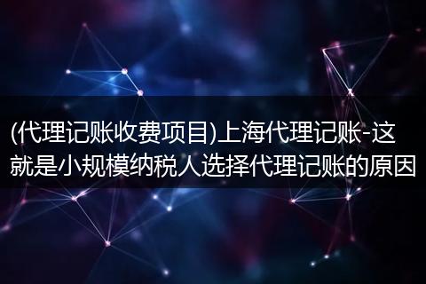 (代理记账收费项目)上海代理记账-这就是小规模纳税人选择代理记账的原因