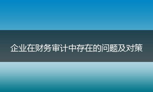 企业在财务审计中存在的问题及对策