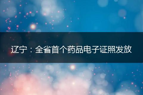 辽宁：全省首个药品电子证照发放