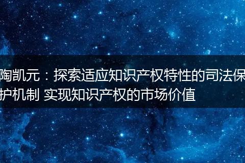 陶凯元：探索适应知识产权特性的司法保护机制 实现知识产权的市场价值