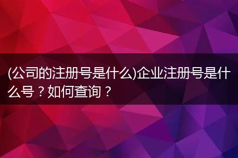 (公司的注册号是什么)企业注册号是什么号？如何查询？