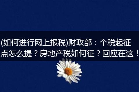 (如何进行网上报税)财政部：个税起征点怎么提？房地产税如何征？回应在这！