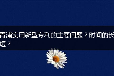青浦实用新型专利的主要问题？时间的长短？