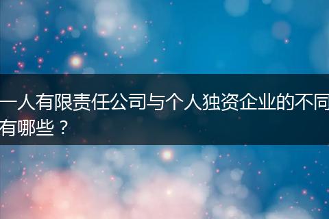 一人有限责任公司与个人独资企业的不同有哪些？