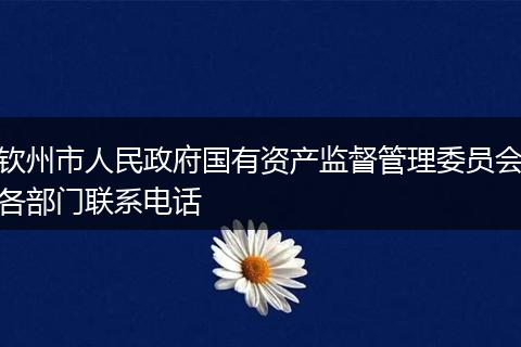 钦州市人民政府国有资产监督管理委员会各部门联系电话