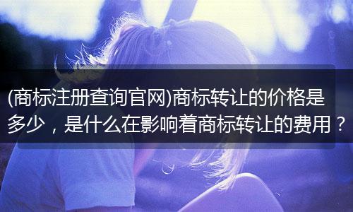 (商标注册查询官网)商标转让的价格是多少，是什么在影响着商标转让的费用？
