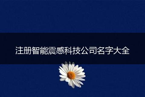 注册智能震感科技公司名字大全