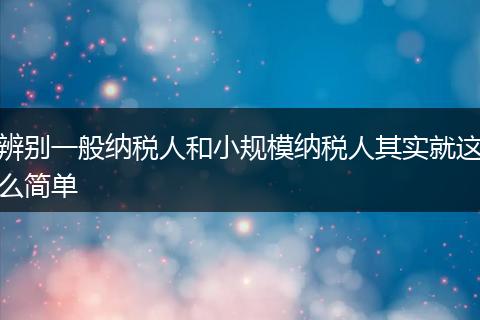 辨别一般纳税人和小规模纳税人其实就这么简单