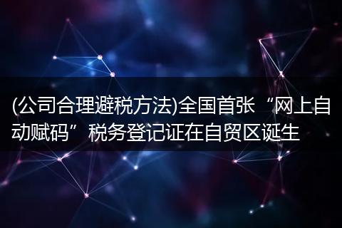 (公司合理避税方法)全国首张“网上自动赋码”税务登记证在自贸区诞生