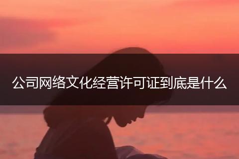 公司网络文化经营许可证到底是什么