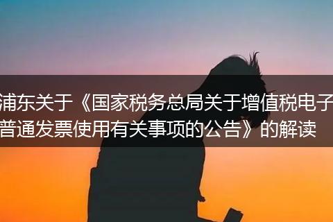 浦东关于《国家税务总局关于增值税电子普通发票使用有关事项的公告》的解读