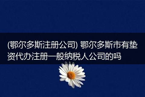 (鄂尔多斯注册公司) 鄂尔多斯市有垫资代办注册一般纳税人公司的吗