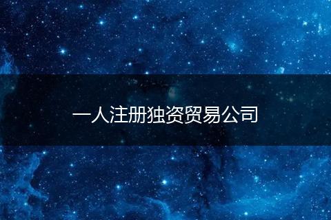 一人注册独资贸易公司