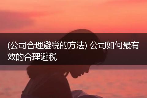 (公司合理避税的方法) 公司如何最有效的合理避税