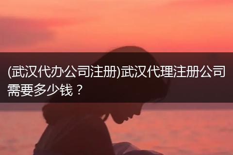 (武汉代办公司注册)武汉代理注册公司需要多少钱?