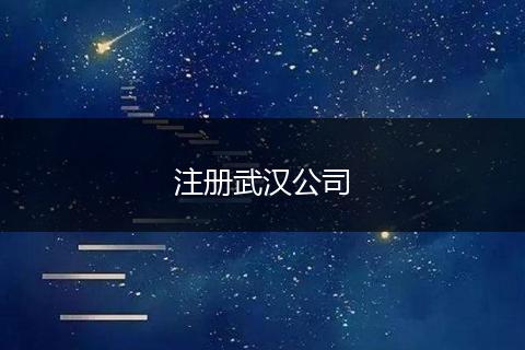 注册武汉公司