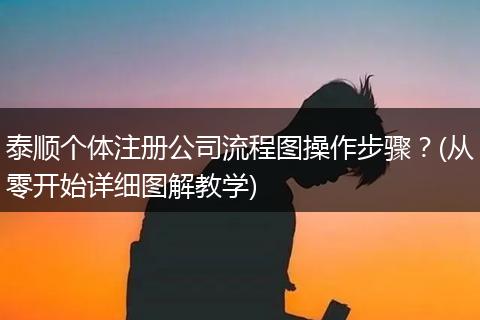 泰顺个体注册公司流程图操作步骤？(从零开始详细图解教学)