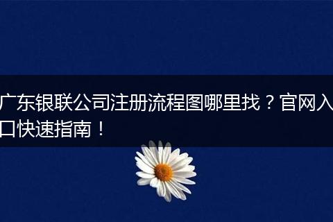 广东银联公司注册流程图哪里找？官网入口快速指南！