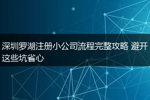 深圳罗湖注册小公司流程完整攻略 避开这些坑省心
