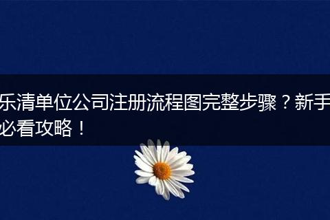 乐清单位公司注册流程图完整步骤？新手必看攻略！