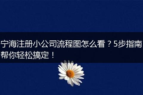 宁海注册小公司流程图怎么看？5步指南帮你轻松搞定！